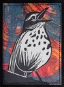 Wood Thrush SM